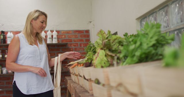 Woman Shopping For Organic Vegetables in Eco-friendly Store - Download Free Stock Images Pikwizard.com