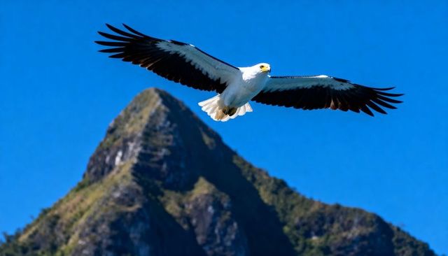 Soaring white-headed sea eagle gliding over rugged mountain peak under vivid blue sky
