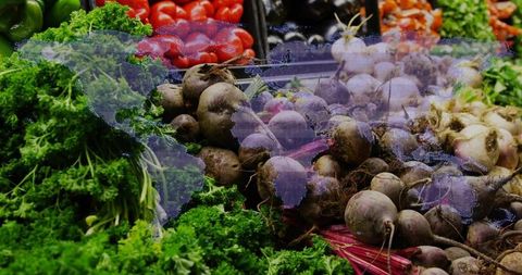 Beetroot market display with digital world map overlay representing global food network
