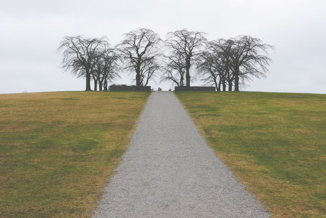 Long gravel path leading to cluster of bare trees on an overcast day in sparse landscape. Ideal for concepts related to loneliness, journey, solitude, tranquility. Can be used in nature-related projects, background images for text overlays, or environmental themes.