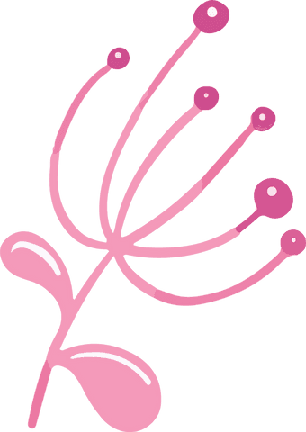 Abstract Pink Plant Design on Transparent Background - Download Free Stock Videos Pikwizard.com