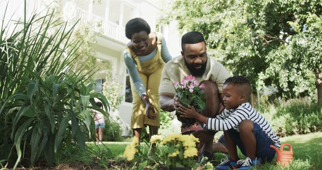 Family Planting Flowers in Garden on Sunny Day - Download Free Stock Images Pikwizard.com