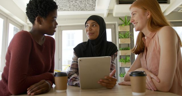 Diverse Women Discussing Ideas Over Coffee in Bright Modern Cafe - Download Free Stock Images Pikwizard.com