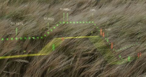 Digital Data Visualization in Nature Concept Art