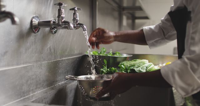 A chef is washing fresh vegetables under a running tap in a commercial kitchen. This image can be used to depict food safety practices, healthy eating, culinary arts, or behind-the-scenes activities in a professional kitchen.