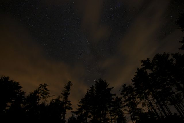 Night Sky With Stars and Cloudy Sky Over Forest Treeline - Download Free Stock Photos Pikwizard.com