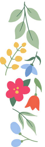 Colorful botanical elements on transparent background in flat design