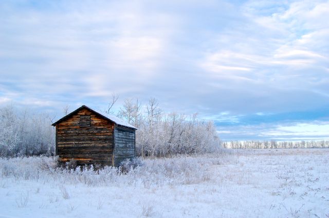 Weathered wooden cabin standing amidst a snow-covered field at dawn with frosty trees and a clear blue sky. Suitable for illustrating rural winter scenes, serene and peaceful landscapes, cold weather atmosphere, and countryside retreats.