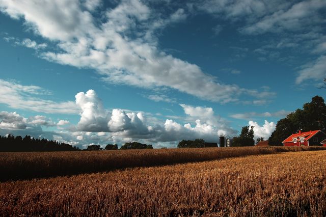 Field Sky Landscape - Download Free Stock Photos Pikwizard.com