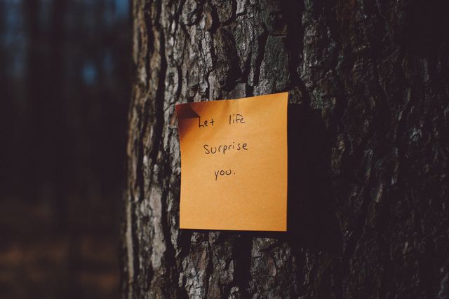 Sticky note with handwritten inspirational message attached to tree bark, capturing a moment of wisdom in natural surroundings. Great for illustrating concepts of motivation, positive thinking, and personal growth. Ideal for social media posts, blogs about self-improvement, and motivational advertisements.