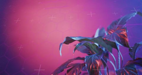 Futuristic Plant Design with Neon Background and Data Overlay