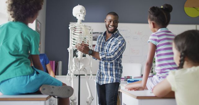 Teacher explaining human skeleton model to interested students in classroom, perfect for educational content, school promotions, science education materials, and websites focusing on innovative teaching methods in elementary education.