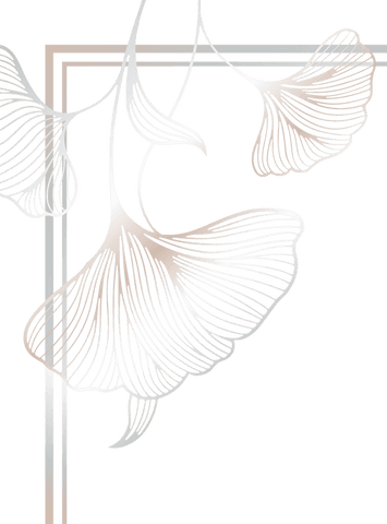 transparent fine line art of ginkgo leaves with dual frame - Download Free Stock Videos Pikwizard.com