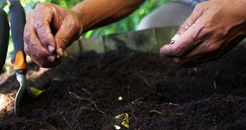 Hands Planting Seeds in Rich Soil for Sustainable Gardening - Download Free Stock Images Pikwizard.com