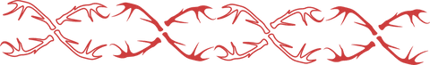 Red Abstract Repeating Border on Transparent Background - Download Free Stock Videos Pikwizard.com