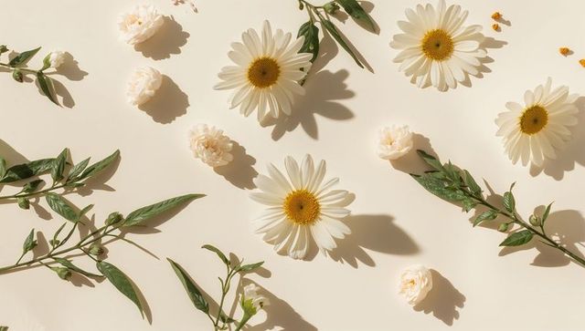 Cream daisy flatlay featuring soft shadows, blush buds and green sprigs for minimal spring