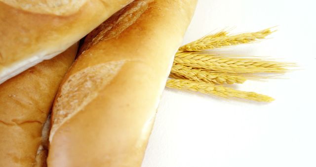 Close-Up of Fresh Baguettes with Wheat Ears - Download Free Stock Images Pikwizard.com