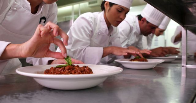 Chefs meticulously plating gourmet dishes in a professional kitchen. Ideal for content related to culinary arts, gourmet cooking, restaurant business, chef training programs, food presentation techniques, and fine dining experiences.