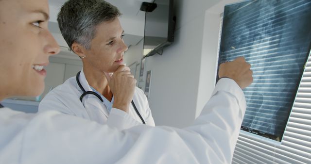 Female Doctors Reviewing X-Ray in Hospital - Download Free Stock Images Pikwizard.com