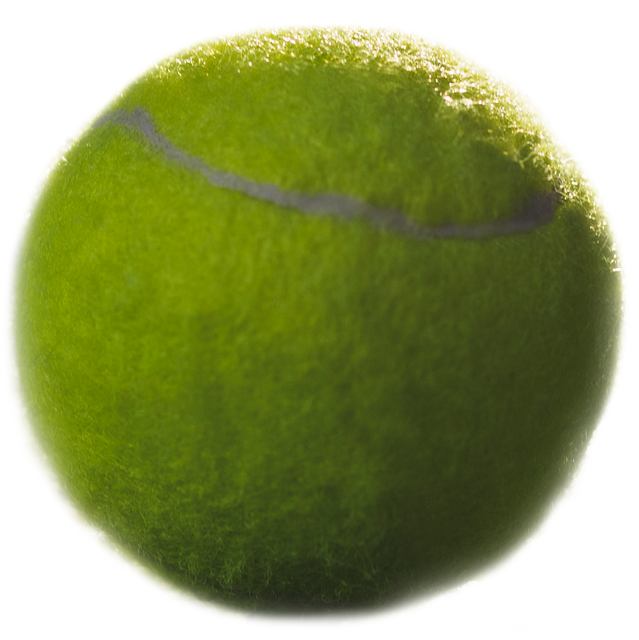 Bright Green Tennis Ball PNG on Transparent Background - Download Free Stock Videos Pikwizard.com