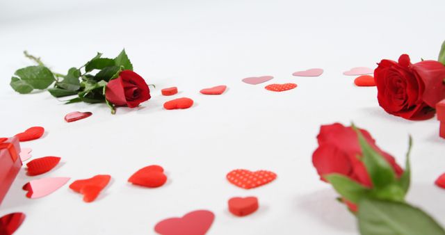 Red roses, gift box and falling hearts on white background. Valentines day concept 4k