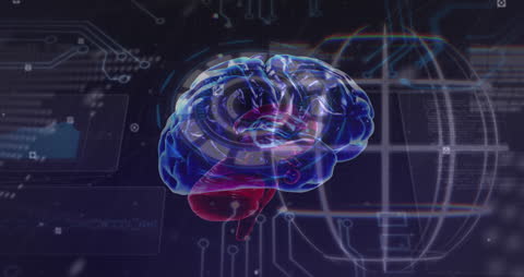 Futuristic Brain Model with Digital Data Overlays