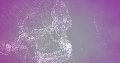Digital Skull Made of Network Connections in Purple Gradient - Download Free Stock Images Pikwizard.com