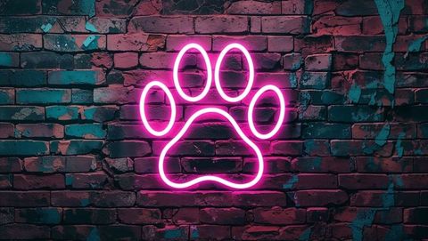 Vibrant neon pink paw print on weathered brick wall