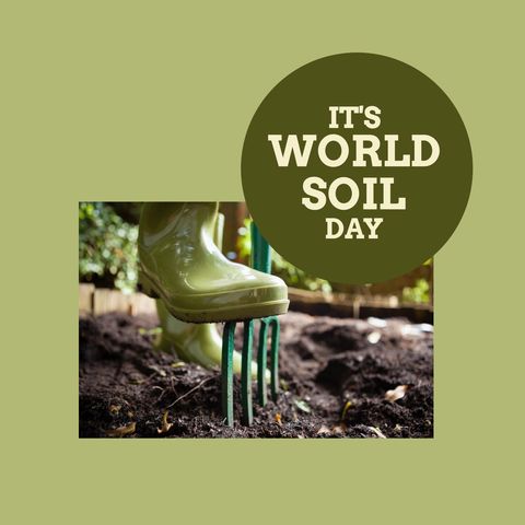 World Soil Day Celebration with Gardening Activity