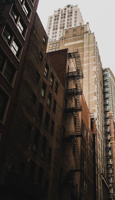 Typical urban alley featuring tall buildings with fire escapes, representing city life. Ideal for designs featuring urban living, architectural studies, real estate advertisements, or cityscape artwork.