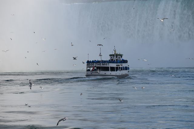 Tour boat 'Maid of the Mist' approaching Niagara Falls surrounded by mist and seagulls. Ideal for promoting tourism in Niagara Falls, adventure travel agencies, nature and scenic views. Great for websites, travel brochures, and advertisements focused on breathtaking landscapes and popular destinations.