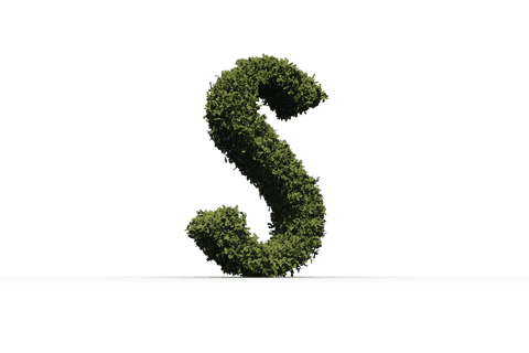 grass letter s with transparent background for nature themes - Download Free Stock Videos Pikwizard.com