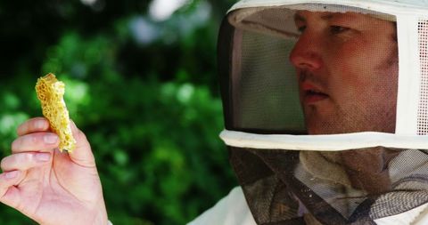 Beekeeper Inspecting Fresh Honeycomb in Lush Apiary