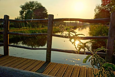 Sunlit spiderweb catching dew on wooden bridge over calm river during golden hour
