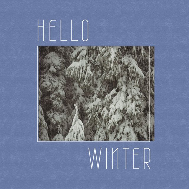 Square image of hello winter text with winter forest picture over blue background. Hello winter, seasons , nature campaign.