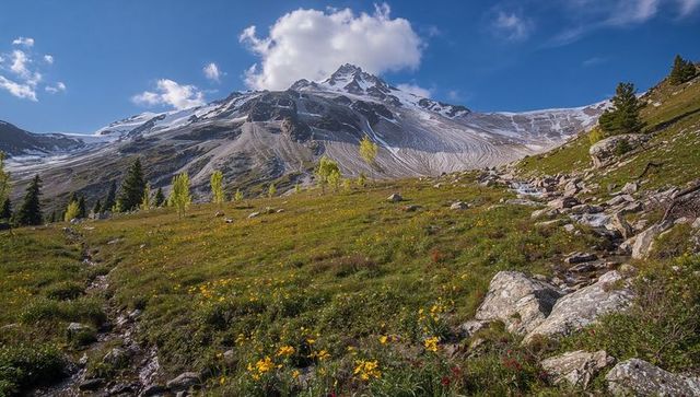 Jagged mountain peak rising above wildflower alpine meadow with rocky stream and aspens