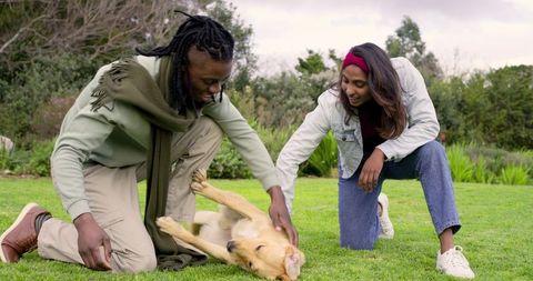 Diverse couple kneeling and petting golden retriever on lush green park lawn