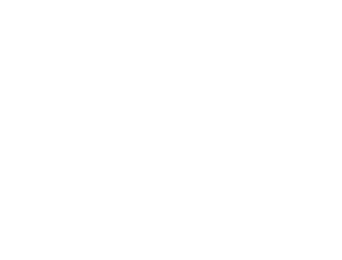 Symmetrical Skull Pattern with Transparent Background - Download Free Stock Videos Pikwizard.com