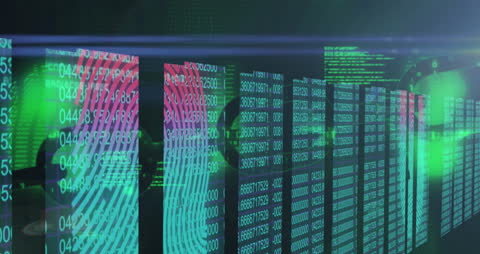 Animated Data Stream with Digital Fingerprint and Codes