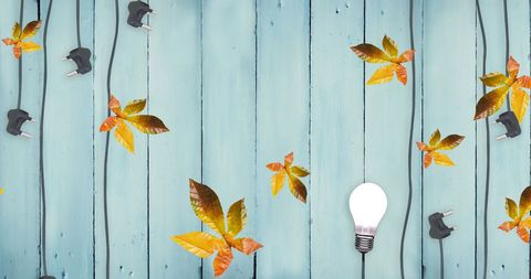Autumn leaves and lights on painted wooden boards background