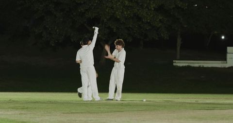 Night cricket players celebrating wicket on illuminated pitch under floodlights