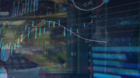 Dynamic Financial Graphs Overlaying Server Network Visualization