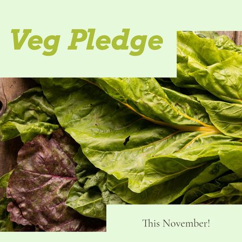 fresh leafy greens for veg pledge awareness - Download Free Stock Templates Pikwizard.com