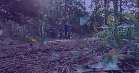 Cycling Adventure through Pine Needle Trail in Scenic Forest