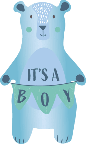 transparent bear holding it's a boy banner illustration - Download Free Stock Videos Pikwizard.com