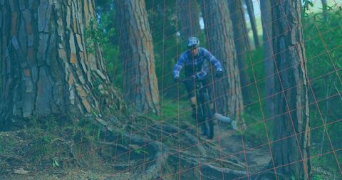Mountain biker navigating rooty pine singletrack wearing white helmet and blue jersey