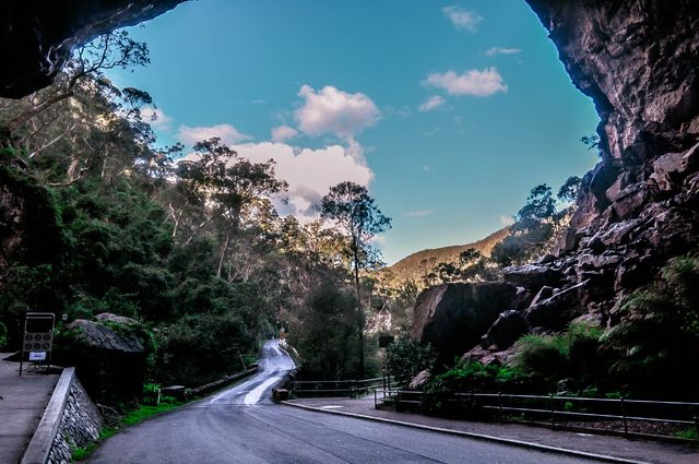 Scenic Canyon Road with Lush Vegetation and Clear Sky - Download Free Stock Photos Pikwizard.com