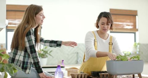 Two women potting seedlings in bright kitchen, urban indoor gardening and teamwork