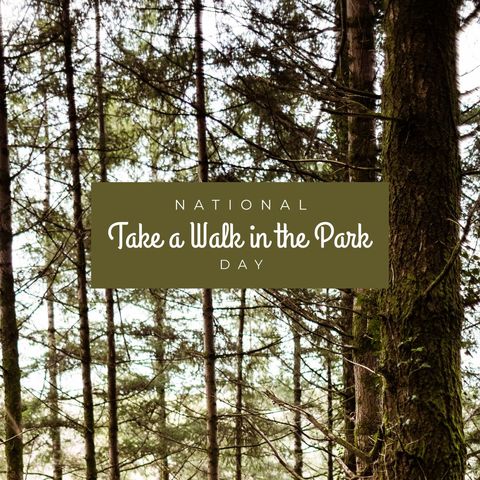 Celebrating National Take a Walk in the Park Day Among Tall Forest Trees - Download Free Stock Templates Pikwizard.com