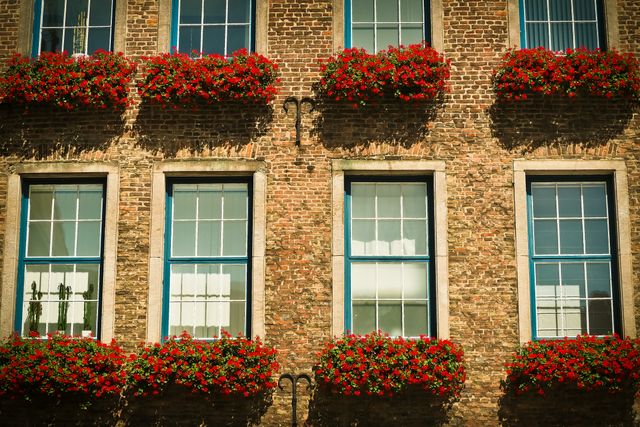 Brick building facade with red flowers in window boxes. Suitable for urban photography themes, historic architecture studies, and home decoration ideas. Ideal for real estate marketing, blog posts about city living, or creating a charming, timeless aesthetic in promotional materials.